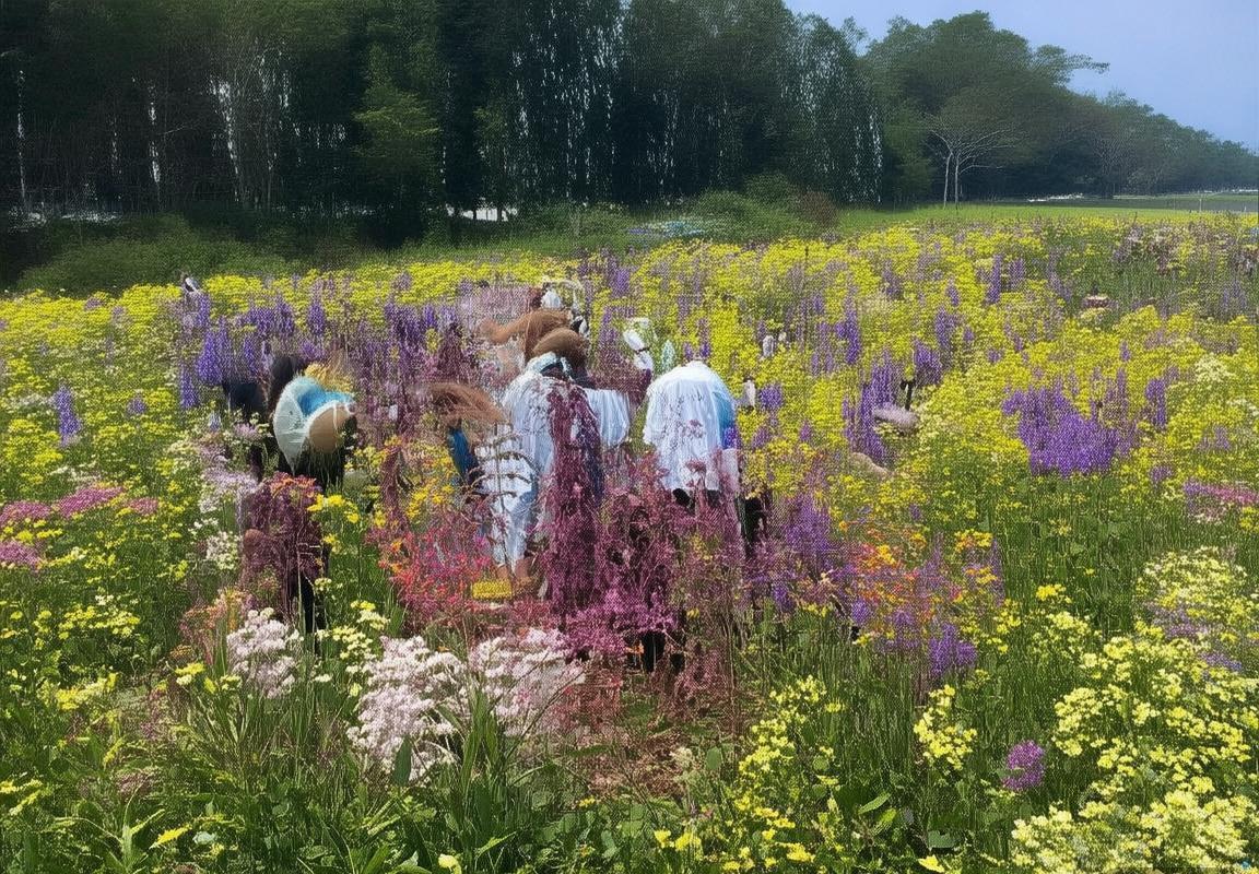 2013年NBA经典对决：热火活塞巅峰之战回顾(图2)